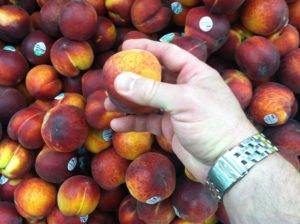 Peaches.R.H.Squeeze